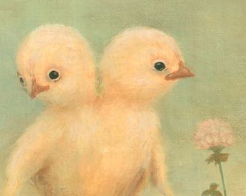 Chicks low2