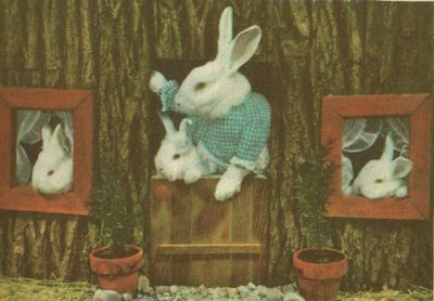 Rabbithouse