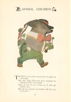 ACBoar