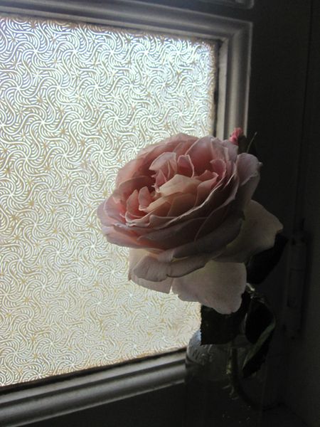 Rose3 Rose3