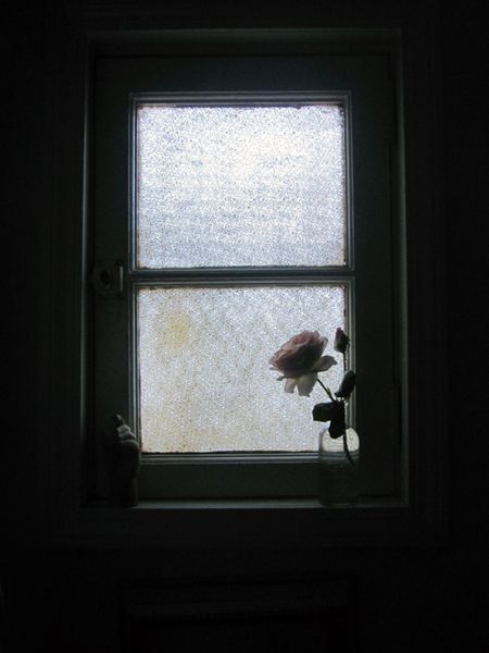 Rose2 Rose2