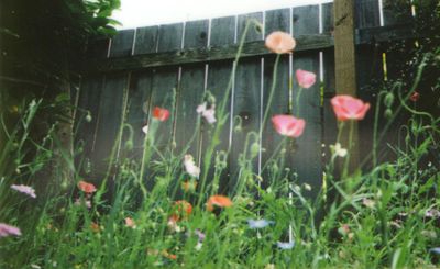 Instax meadow4 Instax meadow4