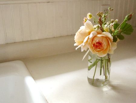 IMG_5138 IMG_5138