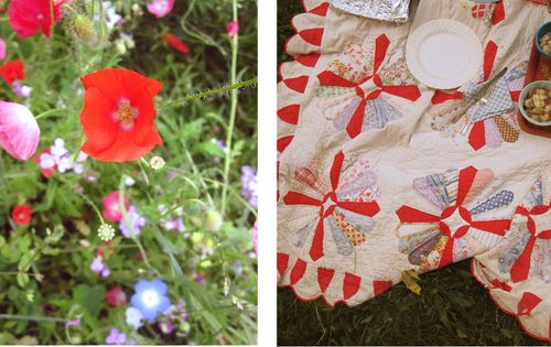 Poppies quilt