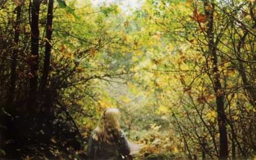ForestBoughs