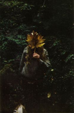 ForestLeaf