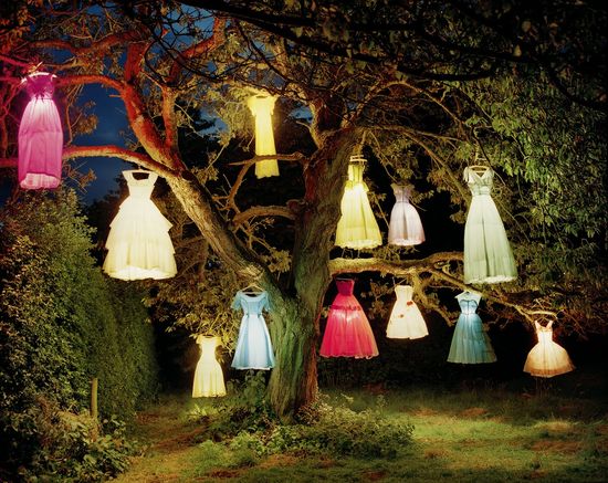 Tim walker3