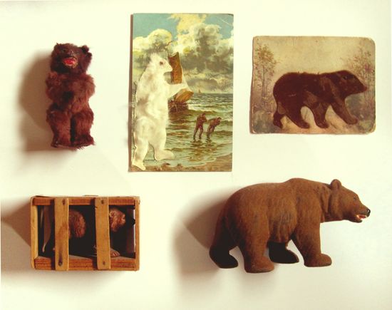 Bears1