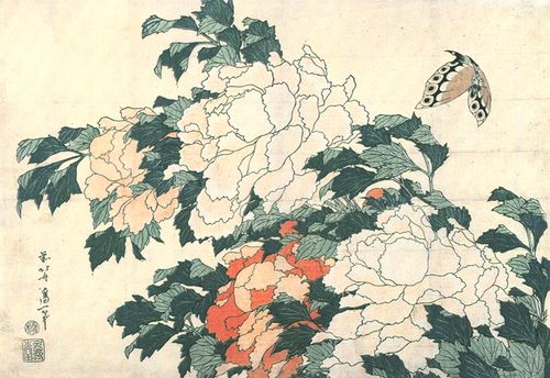 Peonies low