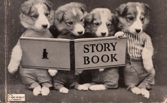 Puppies reading