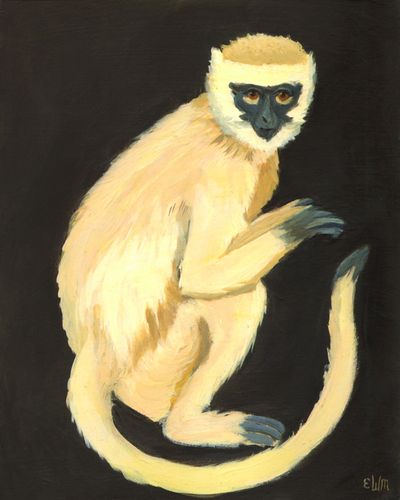 AMonkeyLow AMonkeyLow