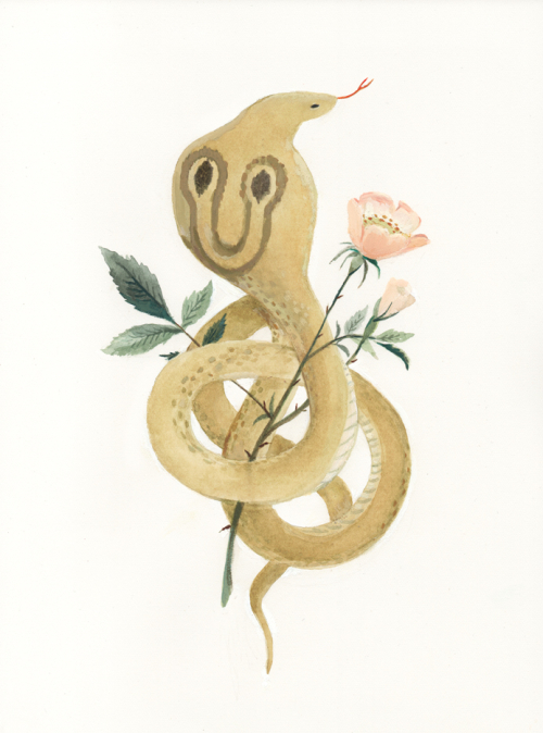 SerpentAndBloomTwitter