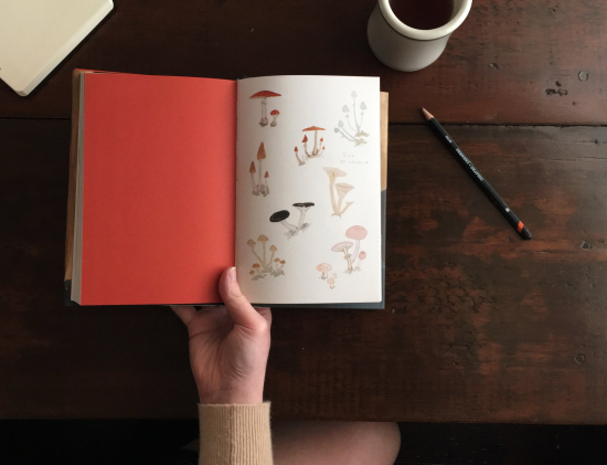 Sketchbook