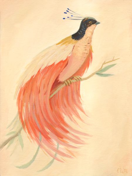 BirdofParadiseLow