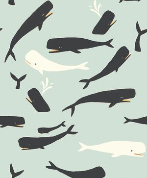 SaltwaterWhalesVert