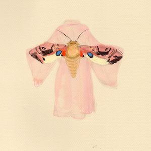 KimonoMothLo2