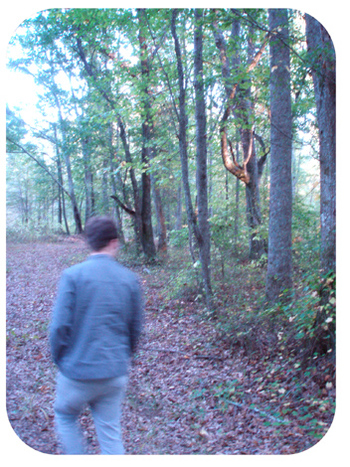Walking_2