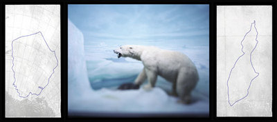 Polarbear_1