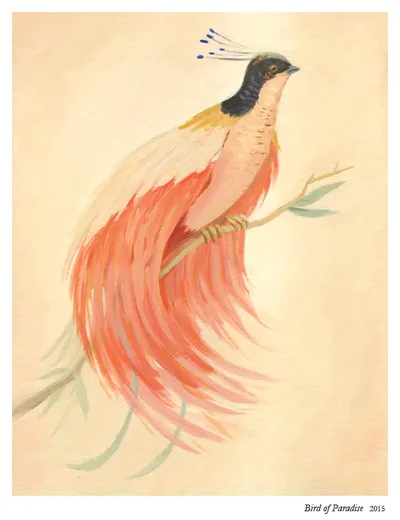 Bird of Paradise: a bird with flowing coral-red plumes