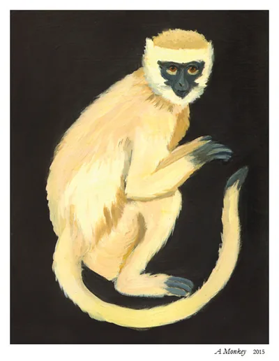 A Monkey: a pale golden monkey on a black background