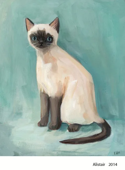 Alistair: a Siamese cat