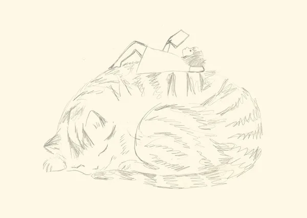 Girls & Cats postcards: sketch of a sleeping cat postcard