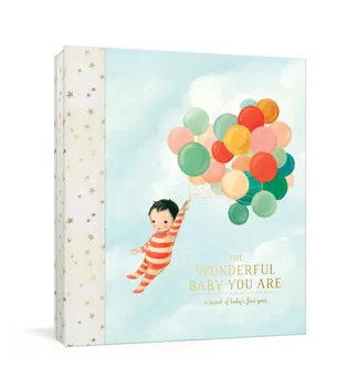 The Wonderful Baby You Are book cover
